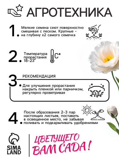 Семена цветов Эустома «Сапфир», F1, белая крупноцветковая, 5 шт., «Аэлита» селекция PanAmerican Seed