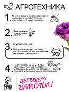 Семена цветов Эустома «Эйбиси», F1, пурпурная крупноцветковая махровая, 5 шт., «Аэлита» селекция PanAmerican Seed - Фото 4