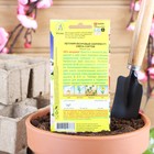 семена Петуния Махровый сюрприз F1, смесь сортов, 5 шт. - Фото 2