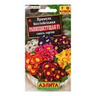 Семена цветов Примула "Раннецветущая", смесь окрасок, F1, 7 шт - Фото 3