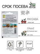 Семена Огурец "Малыш" "Лидер", 10 шт, - Фото 2