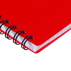 Тетрадь на спирали ErichKrause. Classic А6, 60 листов, в клетку, пластиковая обложка, блок офсет, МИКС - Фото 19