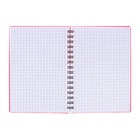 Тетрадь на спирали ErichKrause. Classic А6, 60 листов, в клетку, пластиковая обложка, блок офсет, МИКС - Фото 20
