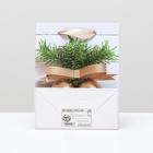 Пакет ламинированный "Колокольчики", 11,5 x 14,5 x 6 см (комплект 12 шт) - фото 22686597