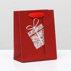 Пакет ламинированный "Красный подарок", 11,5 x 14,5 x 6 см - Фото 1