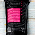 Грунт для выращивания Кактусов и Суккулентов Ultra Effect+ Mineral, 1.2 л - Фото 2