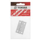 Петля карточная ТУНДРА, 50х30 мм, покрытие цинк , 1 шт - фото 27557604