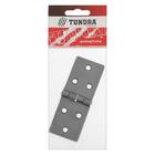 Петля карточная ТУНДРА, 110х40 мм, без покрытия, 1 шт. - фото 21148062