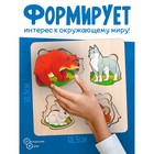 Рамка - вкладыш «Больше - меньше. Дикие животные» - Фото 4
