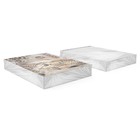 Альбом для рисования А4, 20 листов, блок 120 г/м², на клею, Erich Krause «Wild Cat», 100% белизна, твёрдая подложка - Фото 4