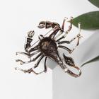 Брошь «Скорпион» крупный, цвет коричневый в чернёном золоте 5438040