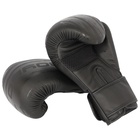 Перчатки боксёрские BoyBo Stain, 10 унций, цвет чёрный - фото 48811356