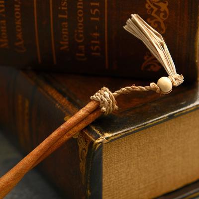 Ручка «Корица», 20×1×1 см