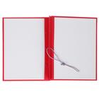 Папка «Личное дело», бумвинил, гребешки/сутаж, без бумаги, красная (вместимость до 300 листов) - Фото 3