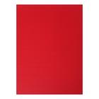 Папка «Личное дело», бумвинил, гребешки/сутаж, без бумаги, красная (вместимость до 300 листов) - Фото 4