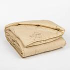 Одеяло Адамас «Верблюжья шерсть», размер 140х205 ± 5 см, 300гр/м2, чехол п/э - Фото 1