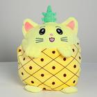 Мягкая игрушка «Кошечка», с пледом - Фото 2