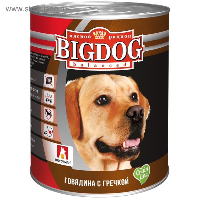 Влажный корм BIG DOG для собак, говядина с гречкой, ж/б, 850 г - Фото 1