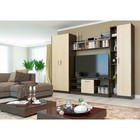 Гостиная «Милан», 3000×2046×446 мм, цвет кантерберри/дуб сонома - Фото 1