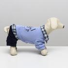 Комбинезон "Рисунок", S (ДС 20 см, ОШ 23 см, ОГ 32 см) - фото 24452394