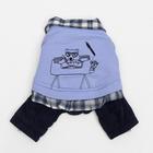 Комбинезон "Рисунок", S (ДС 20 см, ОШ 23 см, ОГ 32 см) - фото 24452403