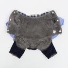 Комбинезон "Рисунок", S (ДС 20 см, ОШ 23 см, ОГ 32 см) - фото 24452404