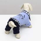 Комбинезон "Рисунок", S (ДС 20 см, ОШ 23 см, ОГ 32 см) - фото 24452395