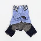 Комбинезон "Рисунок", S (ДС 20 см, ОШ 23 см, ОГ 32 см) - фото 24452399