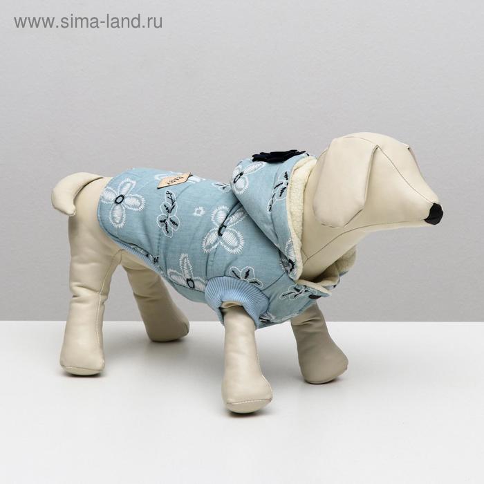 Куртка для собак с цветами, S (ДС 20 см, ОШ 23 см, ОГ 32 см), голубая - Фото 1