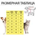 Комбинезон демисезонный с отверстием для поводка, 26 (ДС 61, ОШ 56, ОГ 70 см), розовый - Фото 11