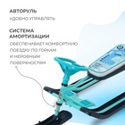 Снегокат «Тимка спорт 2 + Динозавр», ТС2+/Д - Фото 3