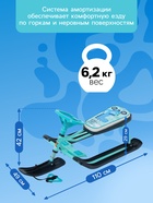 Снегокат «Тимка спорт 2 + Динозавр», ТС2+/Д - Фото 4