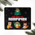 Коврик для мыши «Еще один год потрачен», 21 х 18 см - Фото 1
