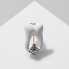 Брошь «Зуб» со стразой, цвет белый в золоте - фото 10939661