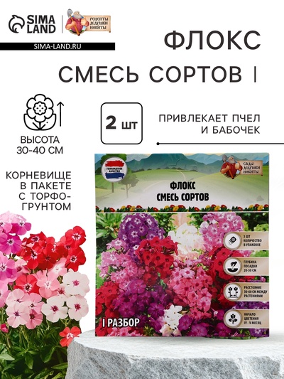 Флокс «смесь сортов», корневище в пакете с торфогрунтом, I, 2 шт.