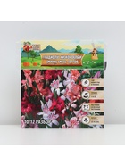 Гладиолус Низкорослый (мини) смесь сортов, луковица цветов в пакете с перфорацией, р-р 10/+, 7 шт. - Фото 6