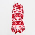 Комбинезон «Олени» с капюшоном, размер XS (ДС 20 см, ОГ 30 см, ОШ 20 см), красный - Фото 11