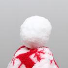 Комбинезон "Олени" с капюшоном, размер XS (ДС 20 см, ОГ 30 см, ОШ 20 см), красный - фото 7762615