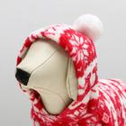 Комбинезон «Олени» с капюшоном, размер S (ДС 25 см, ОГ 35 см, ОШ 25 см), красный - Фото 5