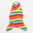 Комбинезон «Радуга», с капюшоном, размер S, ДС 25 см, ОГ 35 см, ОШ 25 см, разноцветный - Фото 12
