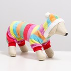 Комбинезон «Радуга», с капюшоном, размер M, ДС 29 см, ОГ 40 см, ОШ 28 см, разноцветный - Фото 2