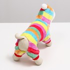 Комбинезон «Радуга», с капюшоном, размер M, ДС 29 см, ОГ 40 см, ОШ 28 см, разноцветный - Фото 4