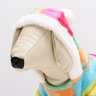 Комбинезон «Радуга», с капюшоном, размер M, ДС 29 см, ОГ 40 см, ОШ 28 см, разноцветный - Фото 5