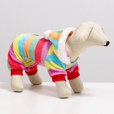 Комбинезон «Радуга», с капюшоном, размер L, ДС 35 см, ОГ 45 см, ОШ 35 см, разноцветный