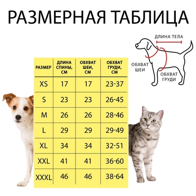 Свитер «Олень на сером», XL (ДС 34, ОШ 34, ОГ 32-51 см)