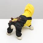 Комбинезон «Мишка», размер XS, ДС 20 см, ОШ 20 см, ОГ 30 см, жёлтый, чёрный - Фото 4