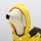 Комбинезон «Мишка», размер XS, ДС 20 см, ОШ 20 см, ОГ 30 см, жёлтый, чёрный - Фото 5