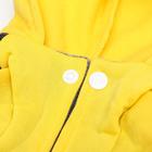 Комбинезон «Мишка», размер XS, ДС 20 см, ОШ 20 см, ОГ 30 см, жёлтый, чёрный - Фото 9