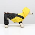 Комбинезон «Мишка», размер S, ДС 25 см, ОШ 25 см, ОГ 35 см, жёлтый, чёрный - Фото 3