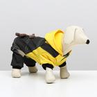 Комбинезон «Мишка», размер M, ДС 28 см, ОШ 30 см, ОГ 38 см, жёлтый, чёрный - Фото 1